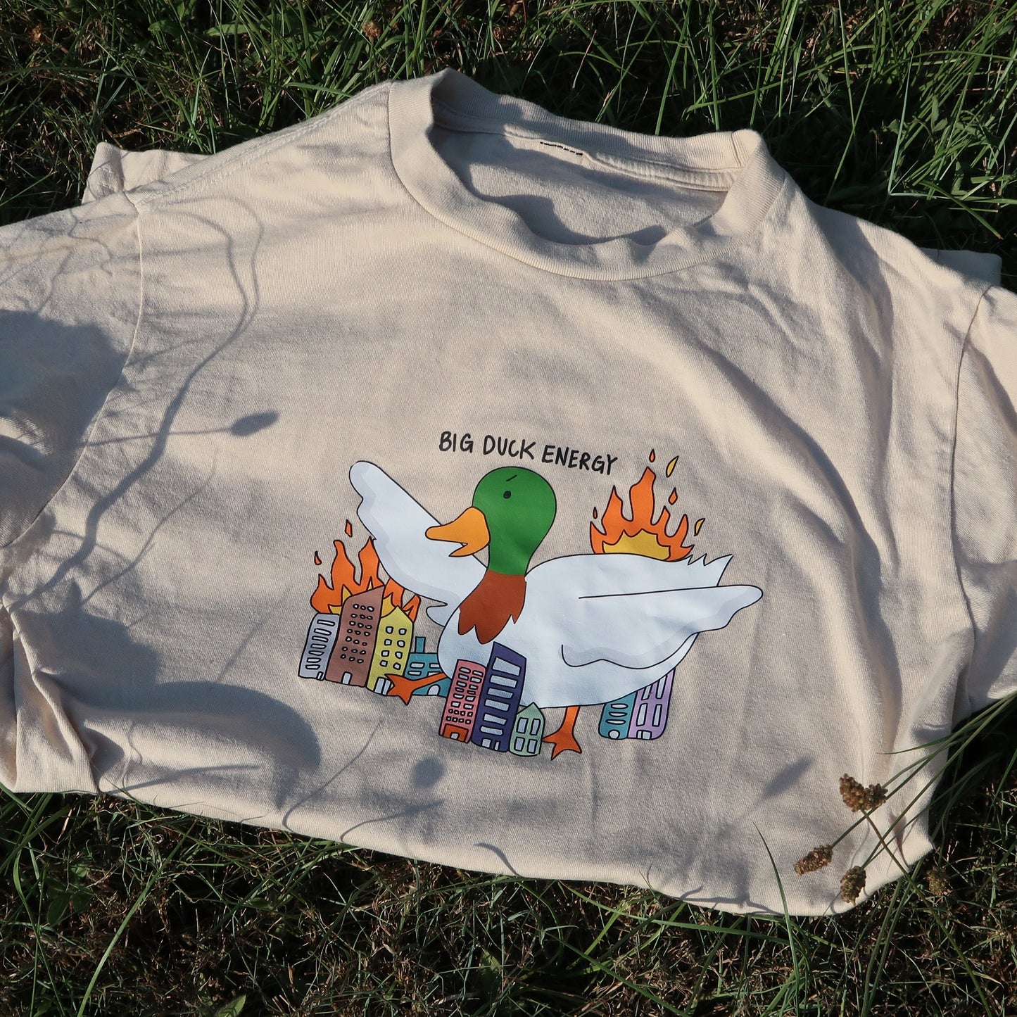Big duck energy t-shirt (Beige/Black)